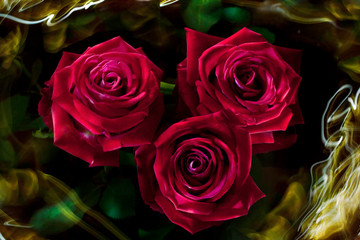 Rose bouquet decorated with light waves around