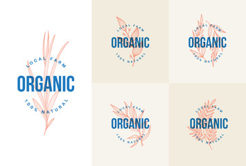 Plant nature hand drawn set. Botanical plant illustration, flowers and herbs. Elegante vintage style.