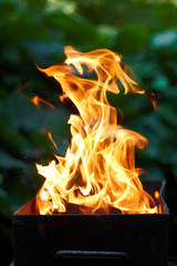 Fire flame texture on the green blurred background