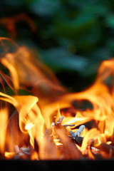 Fire flame texture on the green blurred background