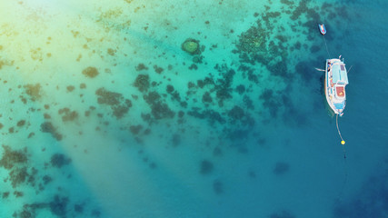 Overhead aerial view of colourful coral reef