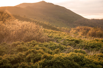 Mountain at sunset in Bieszczady in Poland