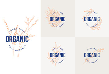 Organic hand draw set, plant illustration, flowers and herbs sketch.