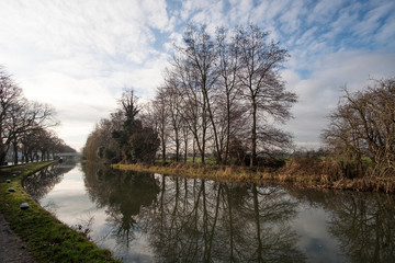 Fototapeta na wymiar Bare trees reflected in still canal water