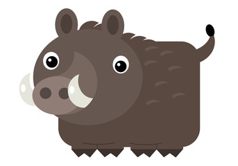 cartoon scene with cheerful boar on the white background illustration for children