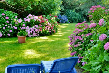 Beautiful garden with hydrangeas in Brittany