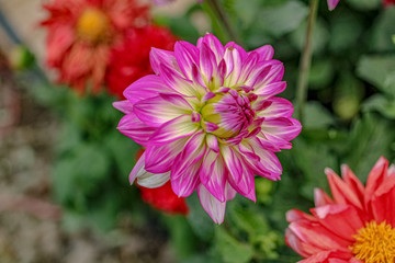 Obraz premium 500px Photo ID: 1009458637