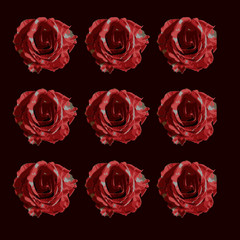 Fototapeta premium roses pattern spring flowers rose red