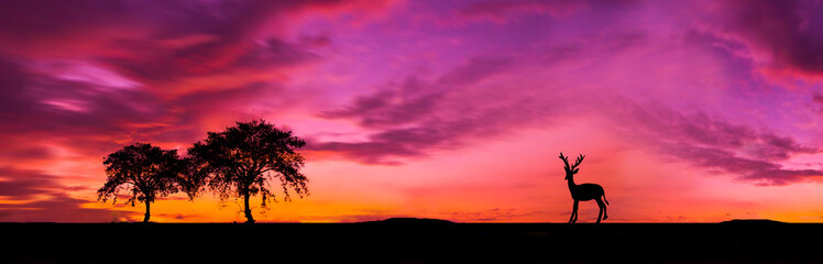 Fototapeta na wymiar amazing beautiful light of the sunset.S pectacular colors of nature..
