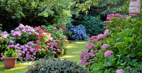 Selbstklebende Fototapete Garten Schöner Garten mit Hortensien in der Bretagne