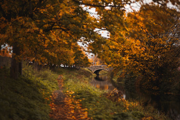 Path the river with autumn colors and yellow trees