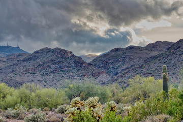 White Tank Mountain State Park Near Phoenix Arizona