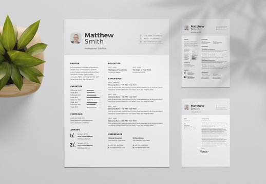 Resume Layout with Light Gray Header and Accents