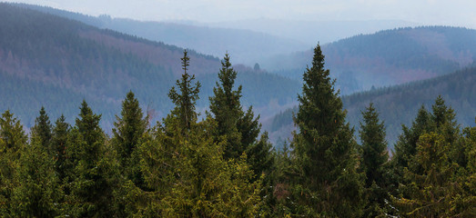 rothaargebirge forest hills germany in winter