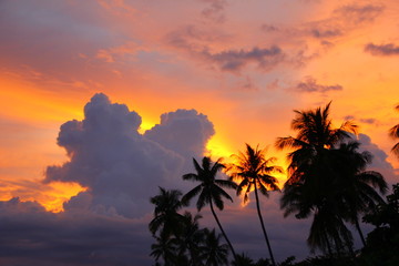 Fototapeta na wymiar Sunset Bohol