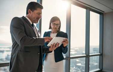 Sharing business ideas over a digital tablet