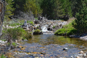 Loch Morlich and Aviemore