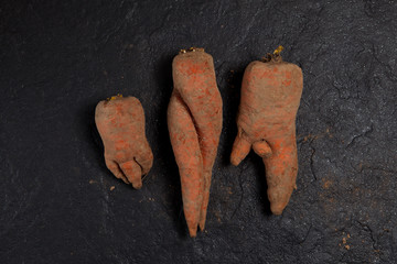 Deformed organic carrots on the black background.