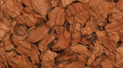 texture of cork