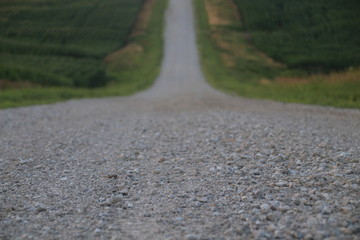 gravel road