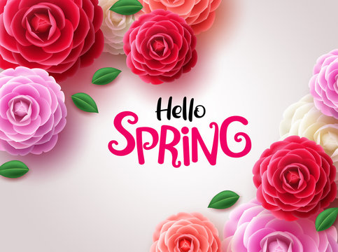 Hello spring flowers vector background. Hello spring greeting text and camellia and rose flowers  in white background. Vector illustration.