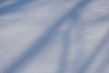 Fototapeta na wymiar 雪と影