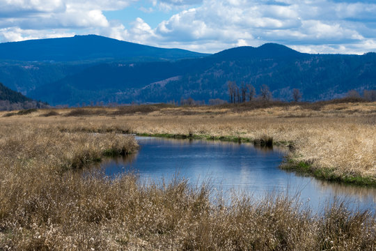 Steigerwald Lake National Wildlife Refuge, Camas Washington