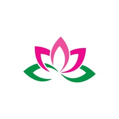 Lotus flowers logo