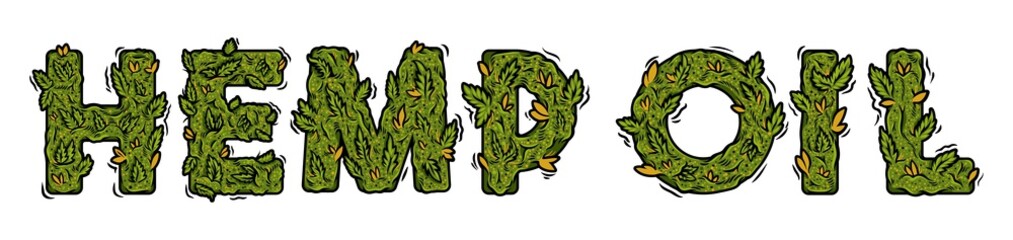 What is Hemp Oil? Your Guide to Using Hemp Oil hemp oil