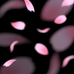 桜　春　花　背景