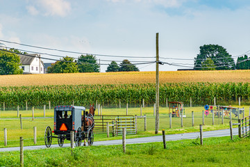 Fototapeta na wymiar Amish country field agriculture, horse,harvest, farm, barn in Lancaster, PA US
