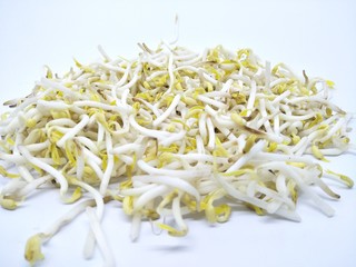 Hand hold fresh Bean kecambah sprout or tauge or toge or taoge from mung beans. Common in Eastern Asian cuisine, made from sprouting beans. Deep of field pile of bean sprouts pattern isolated white 