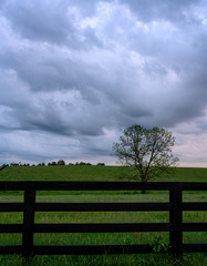 Fototapeta na wymiar Gray Clouds Over Horse Pasture