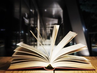 Old open book on a interior background.