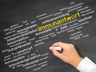 Immunantwort