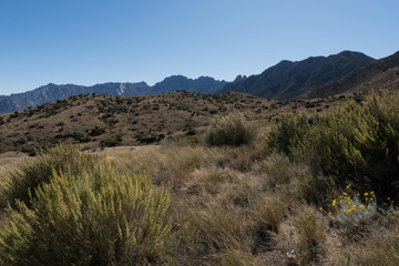Fototapeta na wymiar The Organ Mountains Eastern view in New Mexico.