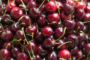Bright red cherries