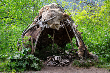 Place of worship and offerings of wild tribes. An idol made of animal skins, bones, horns, and skulls.