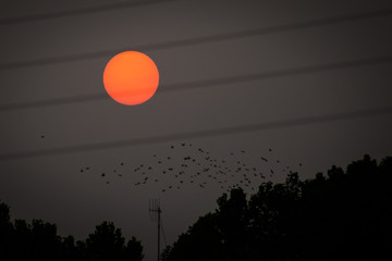 Un atardecer diferente