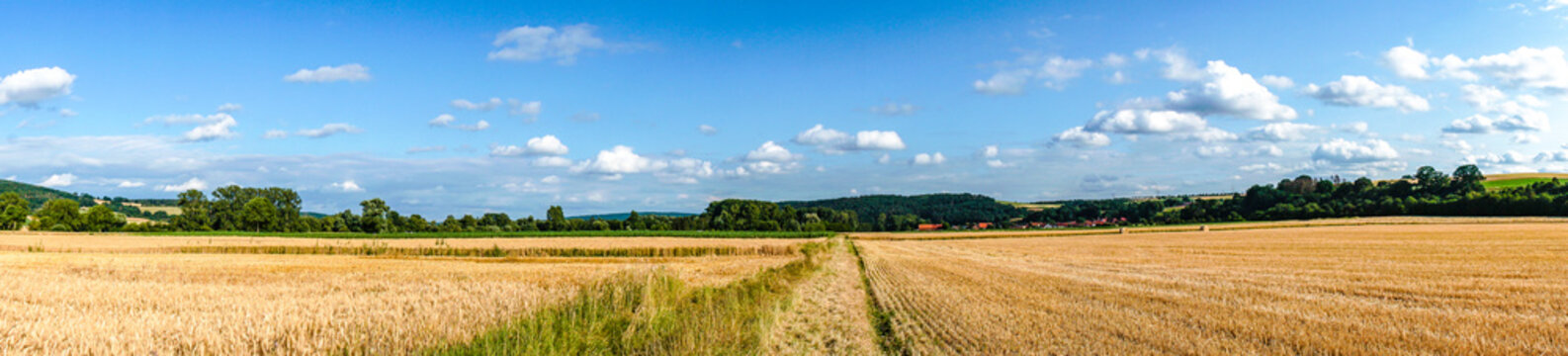 Beautiful wide Meadows in Summer