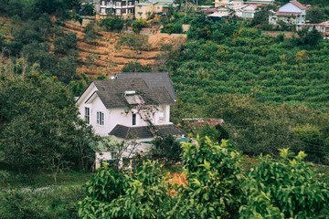 Fototapeta na wymiar Houses on the hill in Dalat, Vietnam