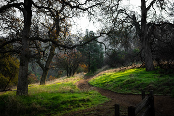 Obraz premium autumn in the park