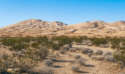 View of Mojave Desert in winter.Mojave National Preserve.California.USA