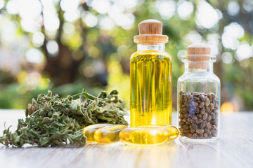 Marijuana leaves are put in seeds and bottles of CBD oil. Natural background The concept of medical marijuana in the treatment of diseases. There is a cycle of cannabis used, namely refined.