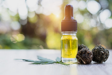 CBD hemp oil in a glass bottle. Hemp seeds in a wooden spoon And the hemp leaf is placed on the table. The concept of cannabis for medicinal purposes. Hemp oil extraction components.