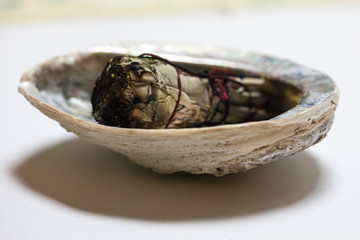 White sage burns for a spiritual cleansing practice