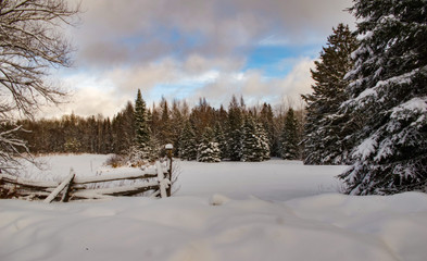 Snowy winter country scene