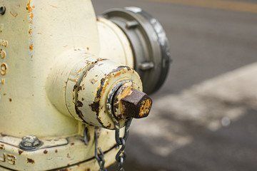 Old yellow fire hydrant