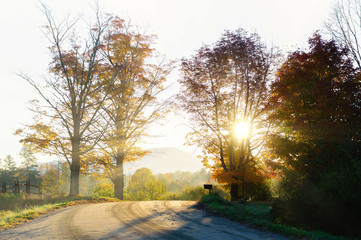 Sun shining through trees over a gravel road on a sunny fall foliage morning, Stowe, VT, USA.