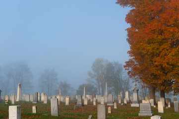 Foggy morning cemetery, Vermont, USA
